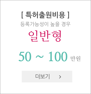 특허출원비용 일반형 50~100만원